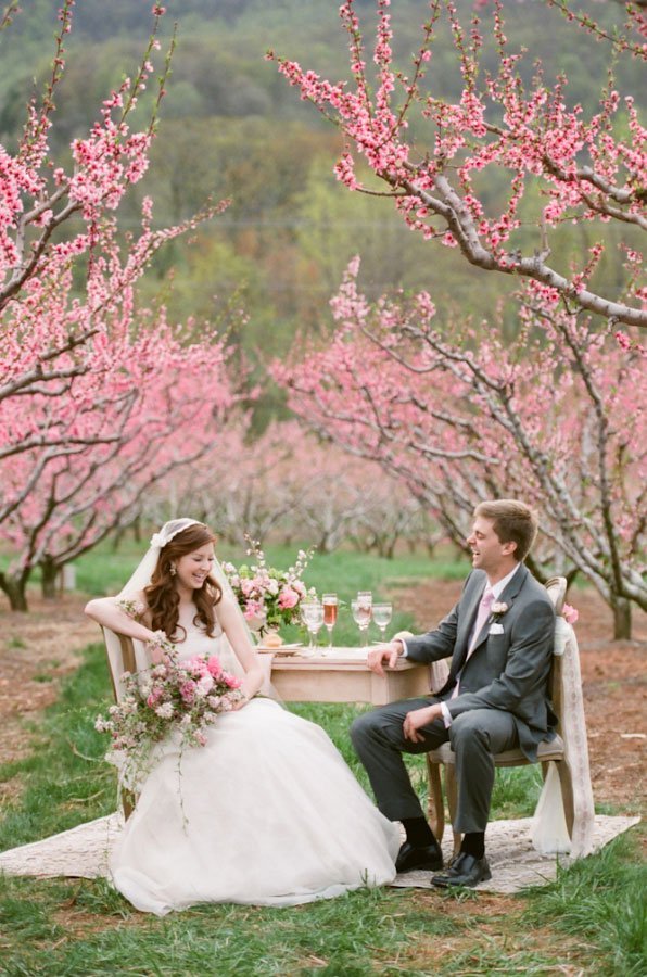 Photo couple marié decors romantique fleurs de cerisier